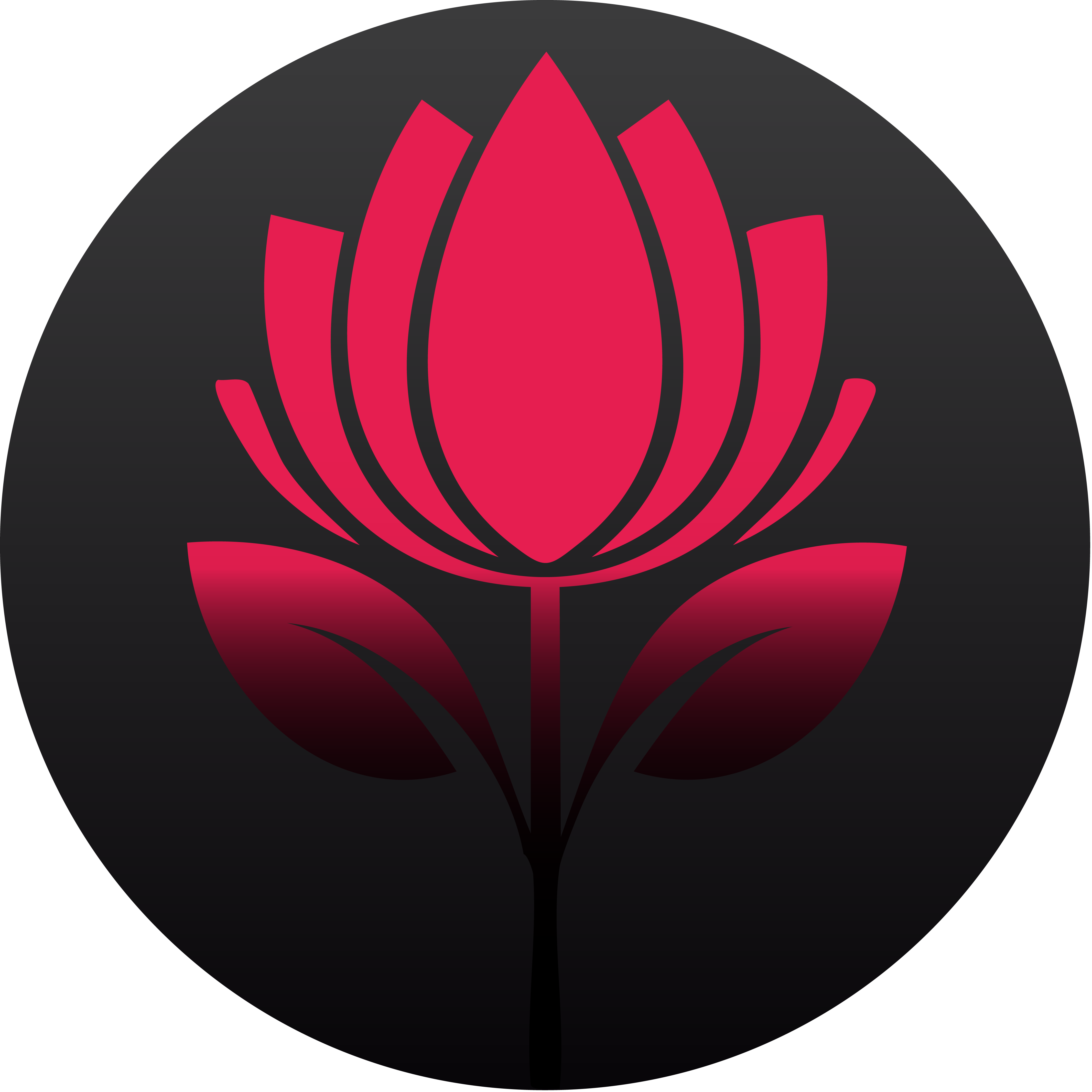 Darkbloom Digital